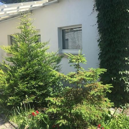 Kleines Haeuschen Am Garten In Darmstadt Extérieur photo
